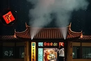 盐碱地笔记中泛白土地与远处防风林